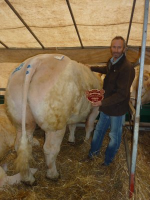 Festival du boeuf 2014